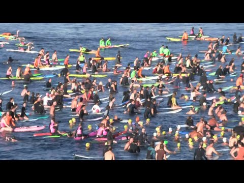 Video | Hundreds of Bondi Beach surfers and swimmers pay tribute to shooting victims | AFP