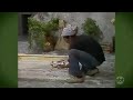 Chaves Episódio As Paredes De Gesso 1978 SBT HD Parte 1