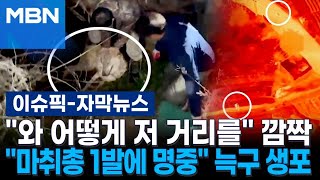 [자막뉴스] ＂와 어떻게 저 거리를＂ 깜짝…＂마취총 단 1발 명중＂ 긴박했던 늑구 생포 순간 | 이슈픽