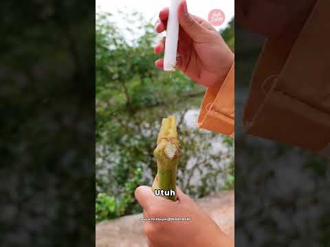 Inti tanaman yang menjadi kerajinan