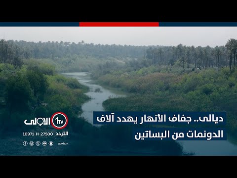 فيديو | ديالى.. جفاف الأنهار يهدد آلاف الدونمات من البساتين