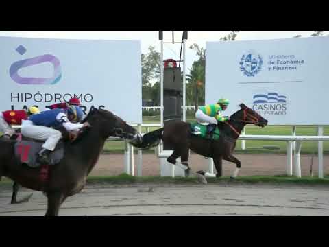230325 c07 - DON PEDRO (BRZ) - HIPODROMO LAS PIEDRAS