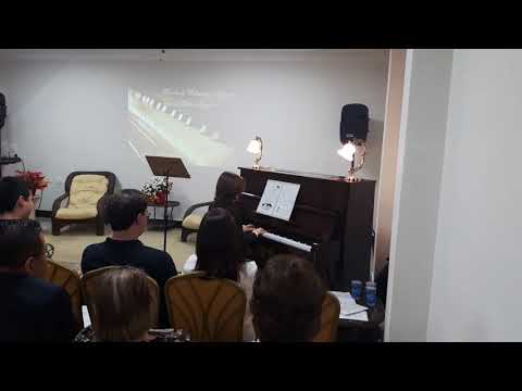 Davi Gambacurta de Oliveira Meirelles -  O Índio Alegre Índio Triste