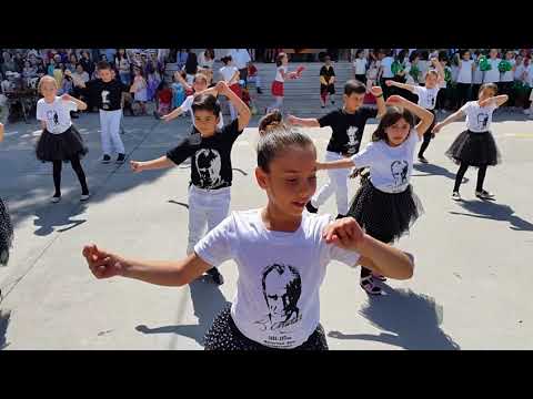 Hasan Uras Özdemir Erik Dalı