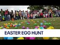 Texas Sized Easter Egg Hunt With Over 50 000 Eggs FOX 7 Austin