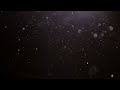Glowing Dust Particles Video