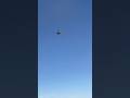 Crazy F 35 Flys Over