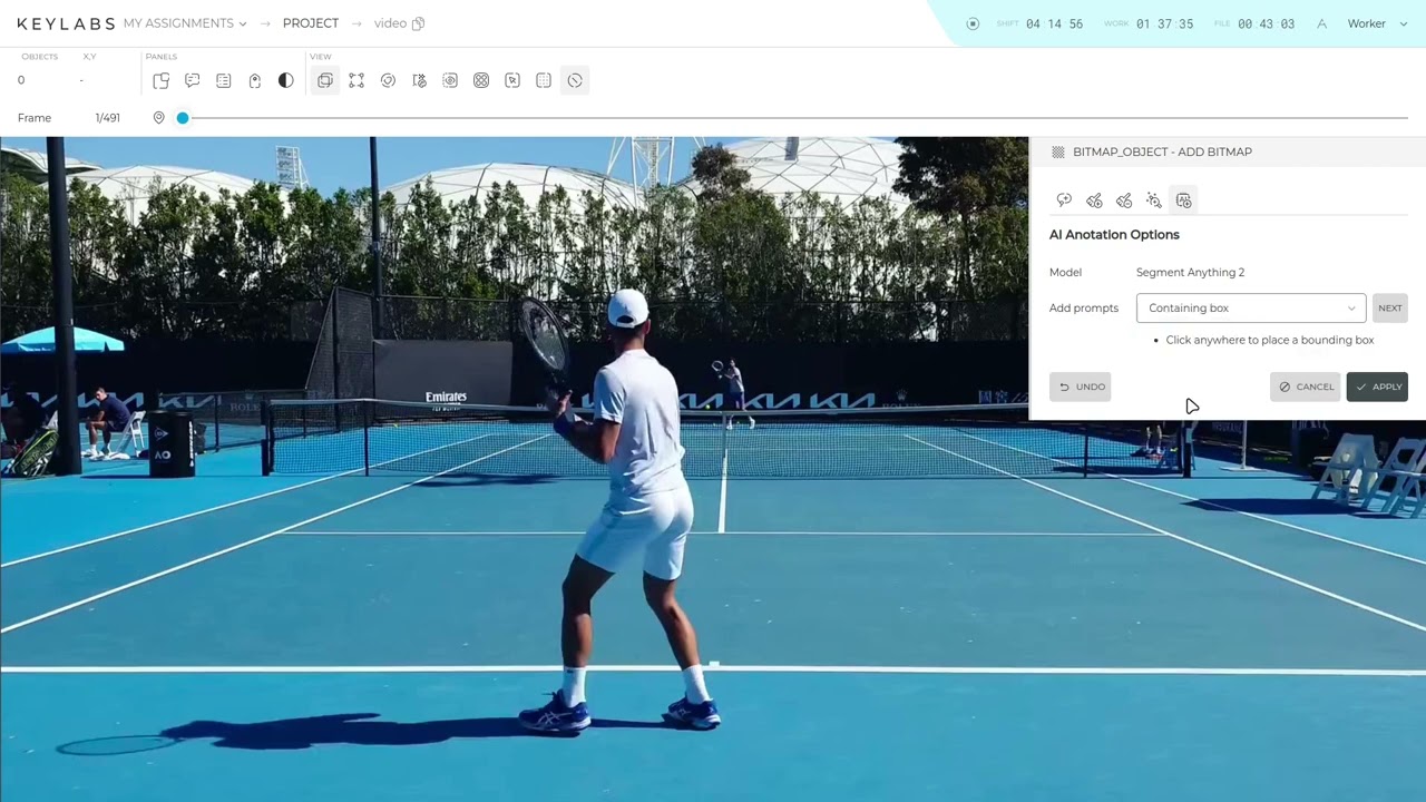 Segment Anything 2: How to Simplify Image Annotation?