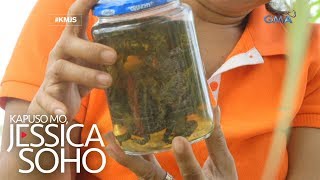 Kapuso Mo, Jessica Soho: Babae sa Butuan, sumusuka diumano ng palaka at insekto?
