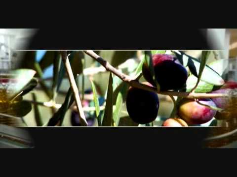 download lagu mp3 mp4 Olive Oil Bulk Purchase, download lagu Olive Oil Bulk Purchase gratis, unduh video klip Olive Oil Bulk Purchase