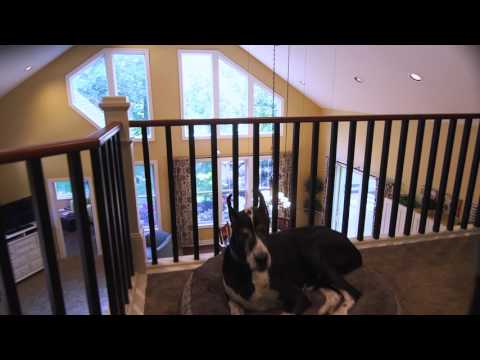 House For Sale in Hamilton, Michigan