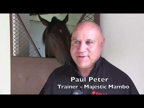 PAUL PETER COLTS GUINEAS