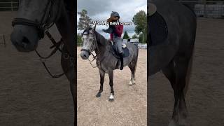 Who else is like this?👀 #horse #equestrian #stallion #horsegirl #horseriding #horserider