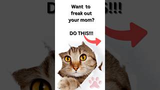 Download lagu Want to freak out your fur mom? DO THIS! #youtubeshorts #cat #petshorts mp3