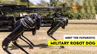 What Can a Super Military Robot Dog do?