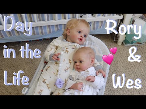 Day in the Life of Reborn Rory and Wesley | Kelli Maple