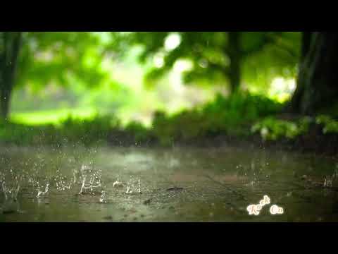 Bristi jhora jai /by tousif /বৃষ্টি ঝরে যায়, দুচোখে গোপনে।অসাধারণ একটি গান আপনার মন ছুঁয়ে যাবে😍