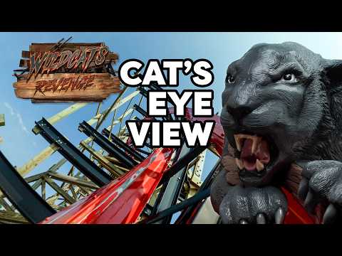 On-ride point of view of Wildcat's Revenge