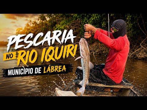 🔴 PESCA E AVENTURA NO MUNICIPIO DE LÁBREA AM 🎣🌳