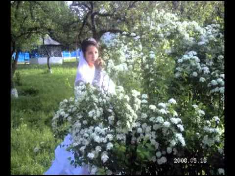 Formatia ”Select Hartoape” - Ca la noi pe la Cotnari