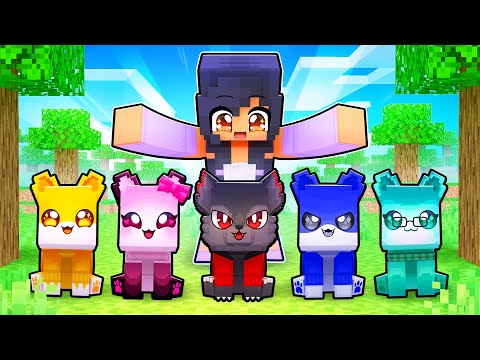 Aphmau - Turning my FRIENDS into KITTENS in Minecraft!
