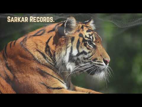 Maga X JVLA X Zupay - Animality