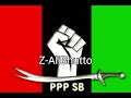 PPP Anthem Mai Bhagi Hoon Jeay Bhutto Slowed Reverb Zulfiqar Ali Bhutto