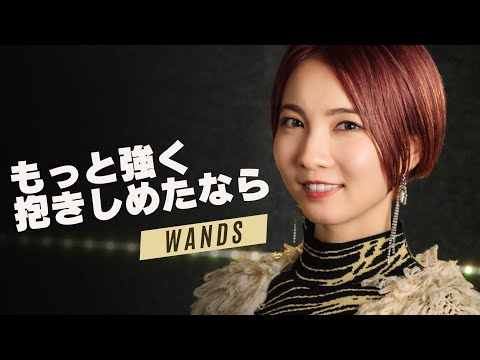 もっと強く抱きしめたなら / WANDS cover by Seira