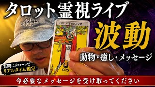 こうのすけ　タロット霊視　波動　動物　癒しなど
