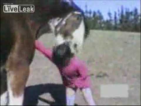 Está menina nunca mais chega perto de um cavalo