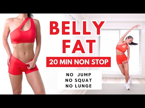 LOSE BELLY FAT WORKOUT 20MIN / NON STOP / No jump, No squat, No lunges
