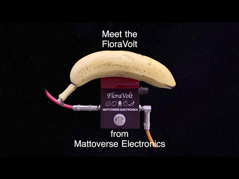 Meet the FloraVolt - A fruit/vegetable powered effects pedal from Mattoverse Electronics