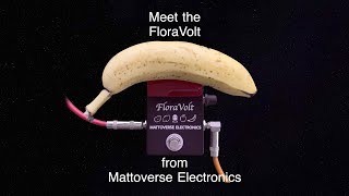 Video thumbnail for Meet the FloraVolt - A fruit/vegetable powered effects pedal from Mattoverse Electronics by mattoverse
