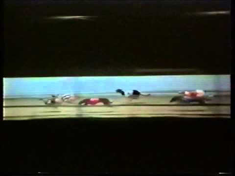 PETERBOROUGH DERBY 96...DINAMIC FAIR