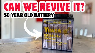 Science or Stupidity? Reviving a 50-Year-Old Battery