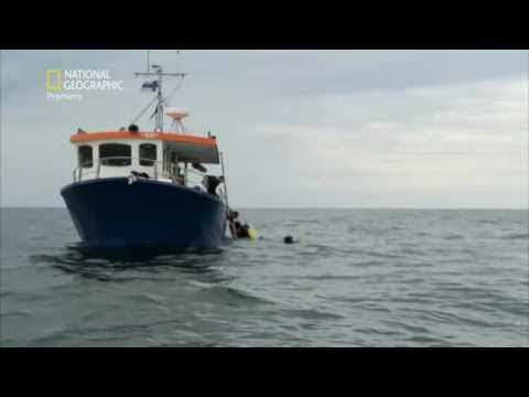 NGC Potopljena nacisticka podmornica