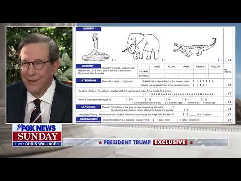 Person Woman Man Camera TV - Dance Cut Edition