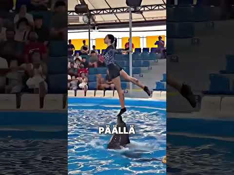 Tämä tyttö ja delfiini huijasivat koko yleisöä 😱🐬