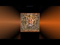 Aleegee Nafisa Latest Music