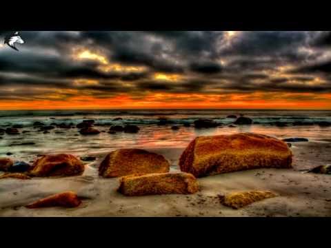 Son Of Kick - Frequency Feat. JAW