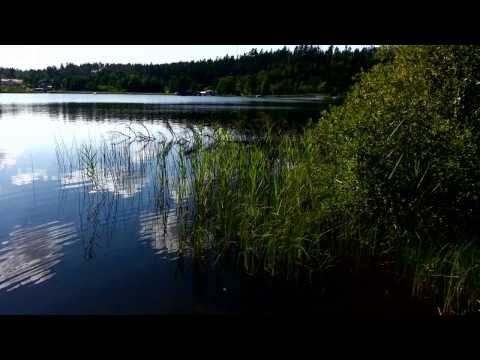 Ulfonze - Essential feeling