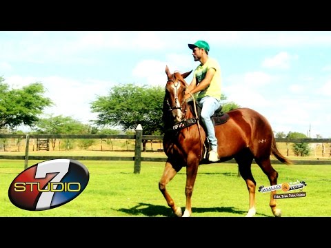 download lagu mp3 mp4 Prego Batido E Ponta Virada, download lagu Prego Batido E Ponta Virada gratis, unduh video klip Prego Batido E Ponta Virada