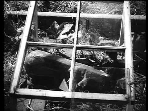 Oh Mr Porter - part 3 of 10