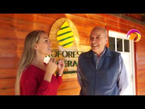 Ciudad por Ciudad N24 ITUZAINGÓ 2