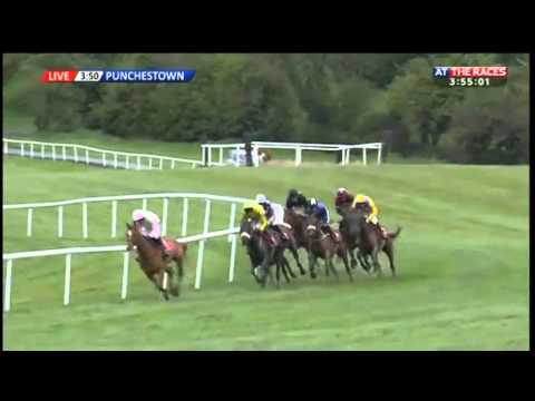 Annie Power - Irish Stallion Farms E.B.F. Mares Champion Hurdle (G1) 2015