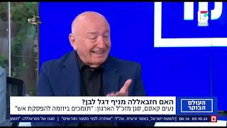 חזבאללה מבקש הפסקת אש? הפרשנות הזו מוטעית מיסודה