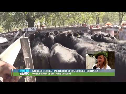 NESTOR HUGO FUENTES- BALANCE 2019. CON GABRIELA ITURRIOZ.