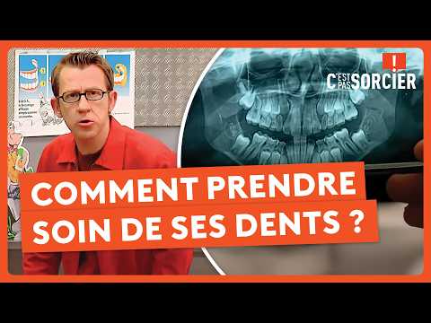 Comment prendre soin de ses dents ? - C'est pas sorcier