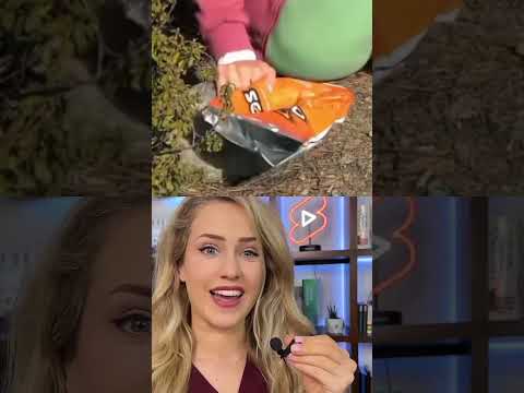 Doctor reacts: surviving a snake bite