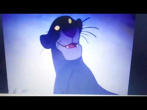 Bagheera!!! Crossover 1